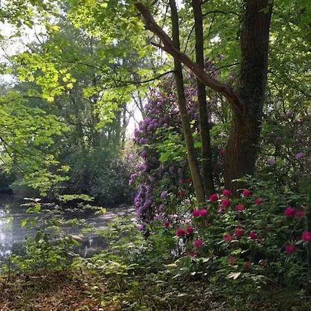 Bed & Breakfast Beau Reg'art Hasselt